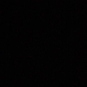 Meet your Posher, Evelyn